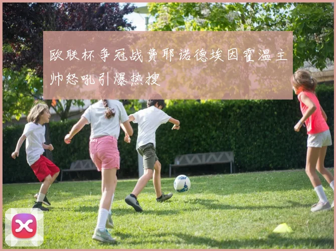 欧联杯争冠战费耶诺德埃因霍温主帅怒吼引爆热搜