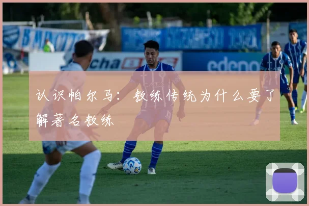 认识帕尔马:教练传统为什么要了解著名教练